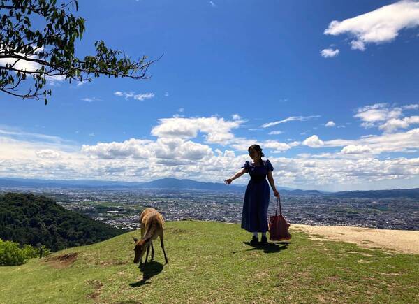 インバウンドのお客様に人気の若草山山頂への直行バスWakakusa Hilltop Bus　４月１日より毎日運行開始