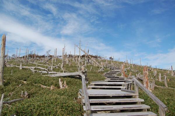 「大台ヶ原直通バス そらかぜ」事前予約制化＆ラッピング実施＆乗車特典配布