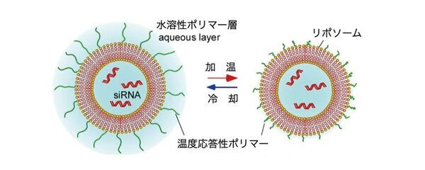 肌へ“選んで届く”時代へ　温度応答性ナノマシン搭載ナノマシンコスメ(R)発売