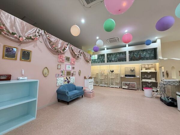 全国でも珍しい希少動物とふれあえる「シャンパンハウス」が豊川市でオープン