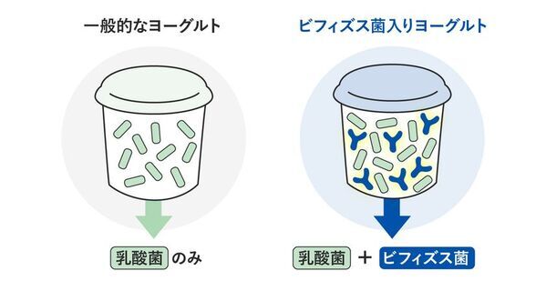 “なんとなく選び”はもう卒業　迷わないためのヨーグルトの選びの3ステップ　管理栄養士・柴田真希先生監修の新着コラムを公開