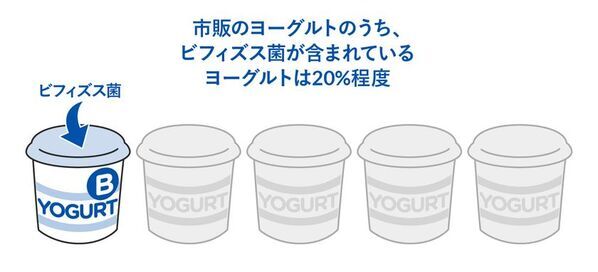 “なんとなく選び”はもう卒業　迷わないためのヨーグルトの選びの3ステップ　管理栄養士・柴田真希先生監修の新着コラムを公開