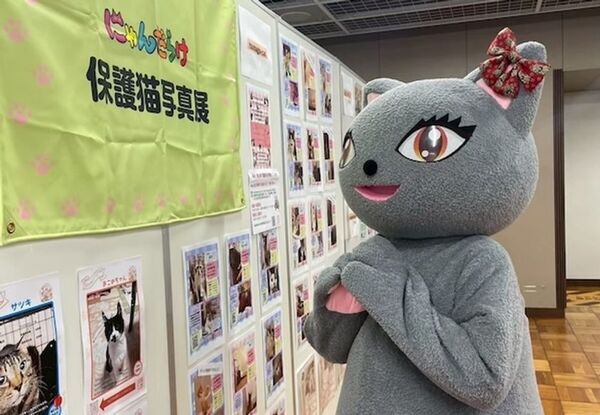 猫好きさんの祭典『にゃんだらけ20』が4月18日(土)19日(日)に浅草で開催！10周年・20回目を記念したスペシャルなコンテンツが大集合！