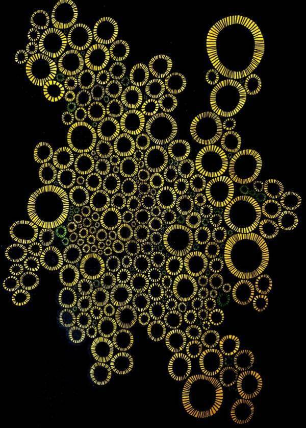 『障がい者アートコンテスト』3/31入賞作品発表　寄付者として審査に参加し、障がい者の自立を絵画で支援