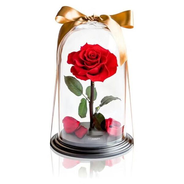 2026 母の日ギフト特集ページ　ディズニー公式ライセンスの薔薇ギフトなどを展開