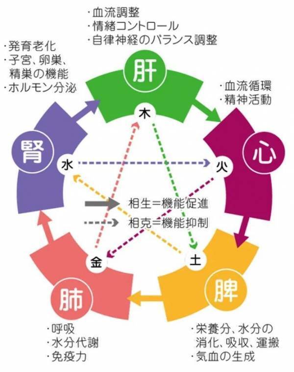 誠心堂薬局、五臓バランスに着目した薬膳茶を新発売　「日常に取り入れやすい薬膳茶」と大好評