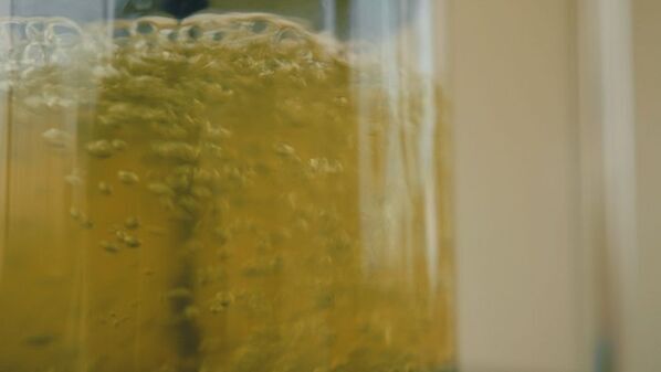 耕作放棄地を観光資源に変える、地方発の新ビジネスモデル「出雲ハーブ苑 神々の庭」2026年4月12日(日)グランドオープン