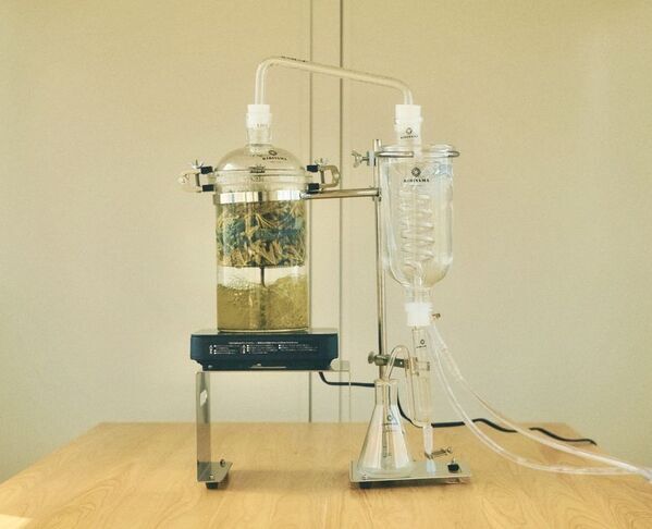 耕作放棄地を観光資源に変える、地方発の新ビジネスモデル「出雲ハーブ苑 神々の庭」2026年4月12日(日)グランドオープン