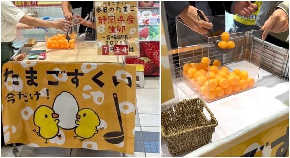 ＜静岡・沼津＞新東名NEOPASA駿河湾沼津SA開業14周年！マグロ解体ショーやお野菜詰め放題など限定イベント多数！4月11日(土)、4月12日(日)の2日間開催！