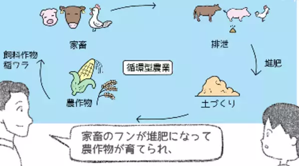お肉ってどこから来てるの？～国産食肉と食料の未来を考える～食育「パラパラ漫画動画」公開