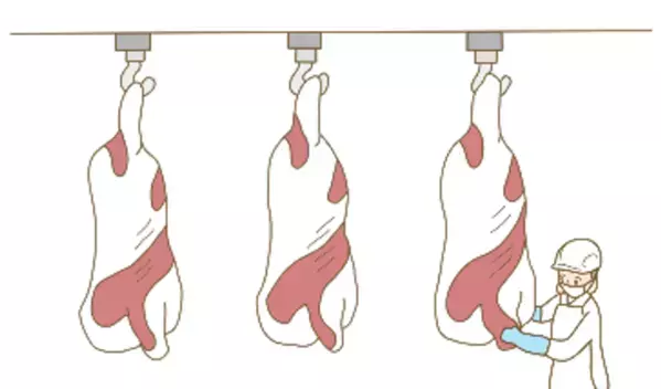 お肉ってどこから来てるの？～国産食肉と食料の未来を考える～食育「パラパラ漫画動画」公開