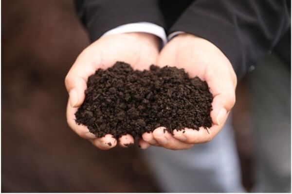 つくば牡丹園「PEONY GARDEN(ピオニー ガーデン) 2026」が4/9(木)～5/24(日)期間限定オープン！グルメや体験企画も実施