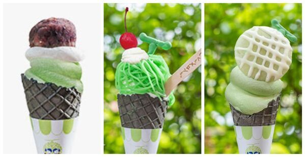 ＜茨城＞日本一のメロン産地から、今年最初のひと玉を　道の駅常総にメロンの季節がやってきた！4/11よりメロンの販売を開始