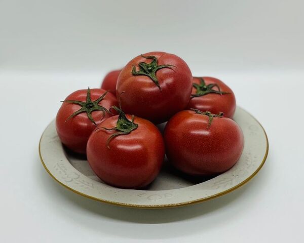 房総・村の駅 八周年祭、開催！千葉の「美味しい」が詰まった特別な20日間！