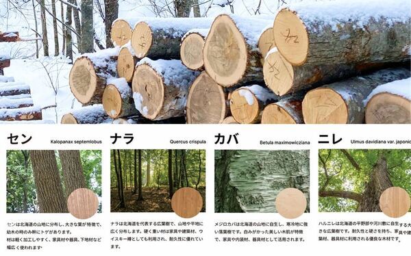 老舗フローリングメーカー・イクタからの新提案「エアー・ウォッシュ・フローリング銘木フロアーラスティック MEGURI」を2026年4月21日より受注開始