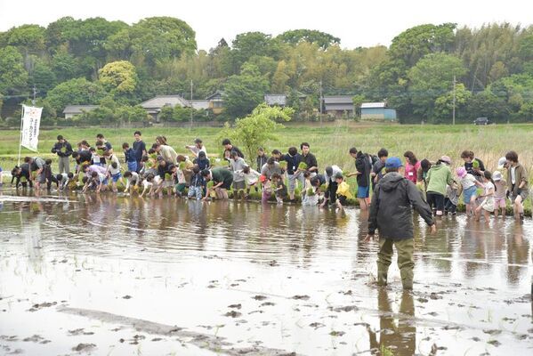 千葉県・ユーカリが丘「子どものことを一番に考えたらユーカリが丘」～昨年310名来場の子育て応援プロジェクト『田植え体験』を5月9日(土)に実施～