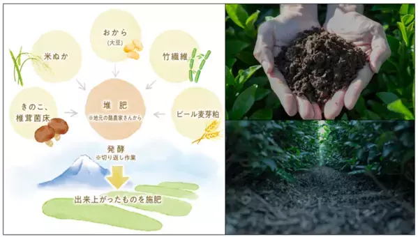 たまご専門店TAMAGOYA抹茶フェアスタート！地元丹那の抹茶を使用したパンケーキやパフェが勢ぞろい