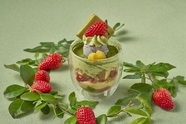 たまご専門店TAMAGOYA抹茶フェアスタート！地元丹那の抹茶を使用したパンケーキやパフェが勢ぞろい