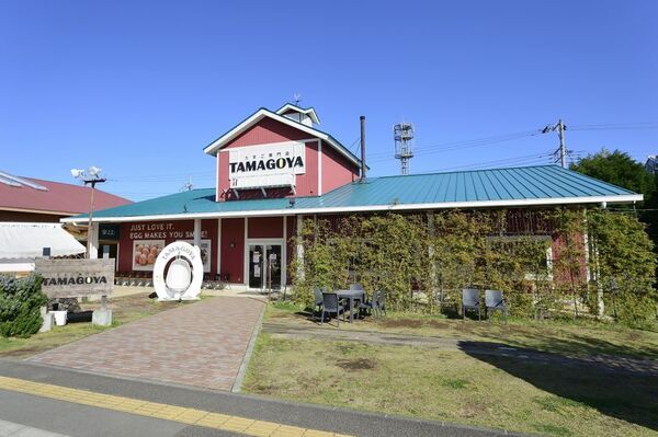 たまご専門店TAMAGOYA抹茶フェアスタート！地元丹那の抹茶を使用したパンケーキやパフェが勢ぞろい