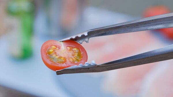 シリーズ累計6万本突破!コニファーコーンの人気ギアに新シリーズ追加！