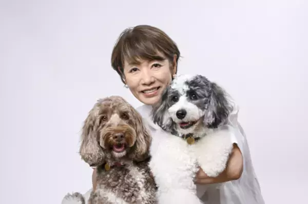 新ブランド「コミフPETS」から愛犬用の総合栄養食が発売　おなか、皮膚・被毛、シニアケアに特化した3種を展開