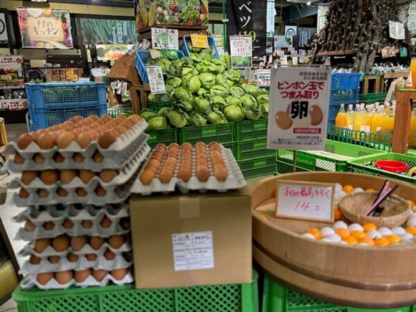GWは“野菜イベントで群馬を盛り上げる！”「詰める」「積む」「量る」「すくう」群馬県渋川市 上州・村の駅で「G.W.お野菜大放出祭」開催