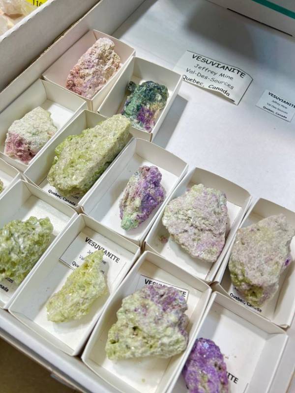 流行や価格にとらわれず、“今の自分にしっくりくる宝石”を選ぶ時間　「ミネラルキャピタル2026in東京」5月1日より開催