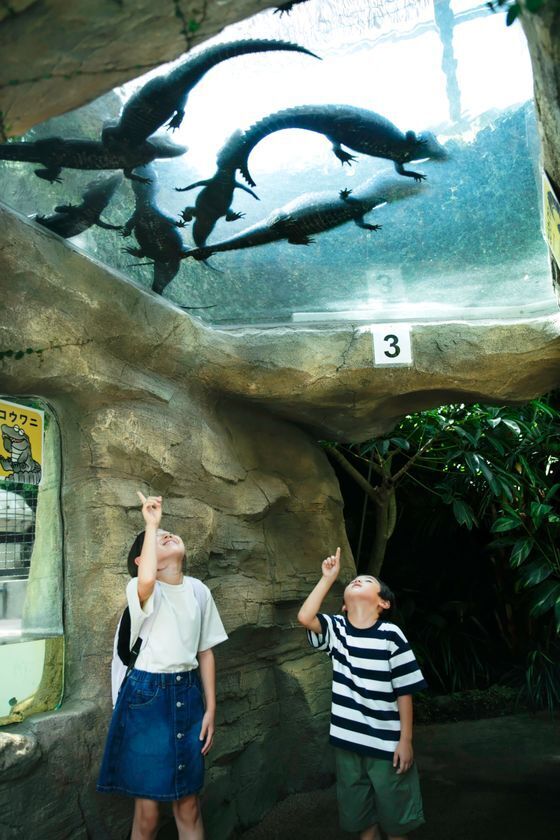 “あえて青い”バナナをもう一度見つめ直した一杯『Izu Banana Pils』新発売！