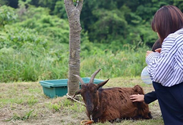 明治学院大学が5月23日(土)・24日(日)に第29回戸塚まつりを横浜キャンパスで開催　今年度からフリーマーケット企画も復活！