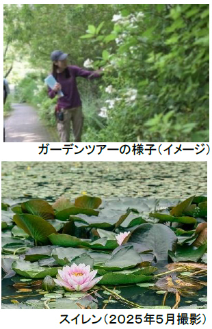 ROKKO森の音ミュージアムSIKIガーデンEarly Summer Season“Concerto”