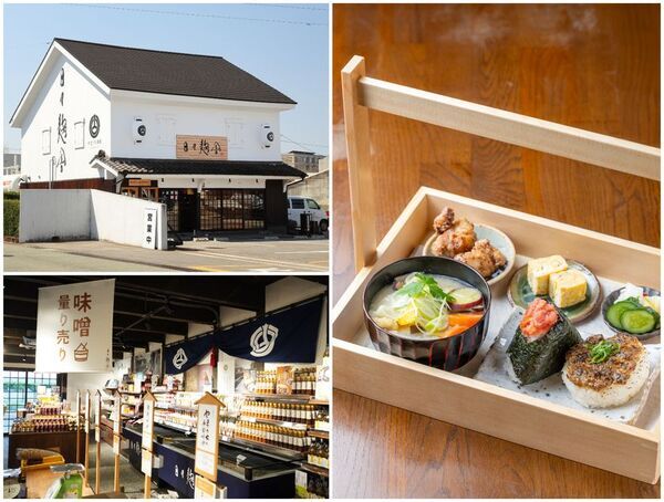 麹のテーマパーク「やまうち本店」で食べて遊んで体験しながら麹の魅力を体感できる9日間！『やまうち本店の大感謝祭』を4/29より開催