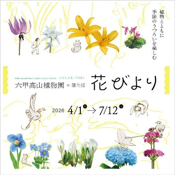 六甲高山植物園 ユニークな姿の人気者「ユキモチソウ」が見頃です！GWのイベントも！
