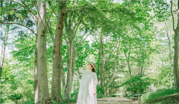 六甲高山植物園 ユニークな姿の人気者「ユキモチソウ」が見頃です！GWのイベントも！