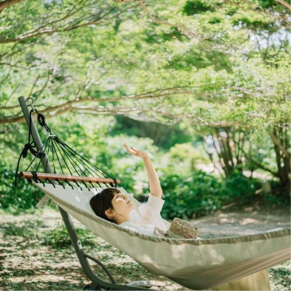 六甲高山植物園 ユニークな姿の人気者「ユキモチソウ」が見頃です！GWのイベントも！
