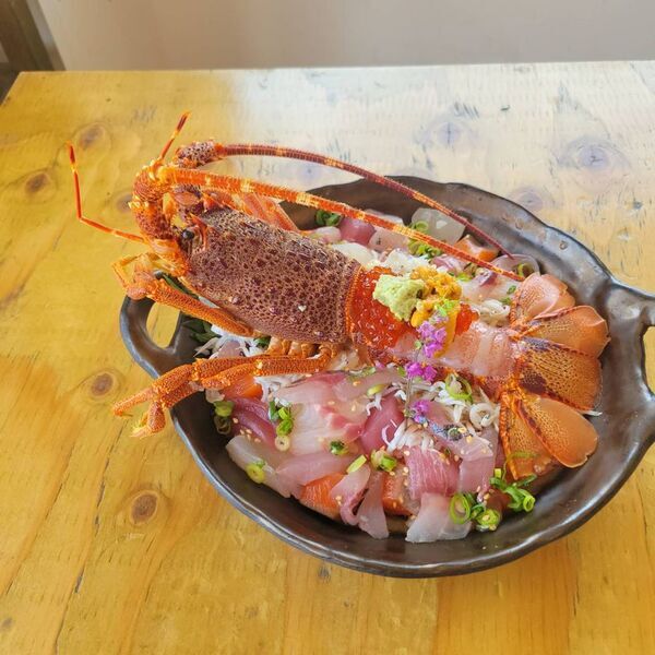 GW限定「あじ・しらすフェア」開催！小田原漁港直送！旬のアジと湘南しらすを堪能できる豪華海鮮丼や伊勢海老丼など期間限定メニューが登場