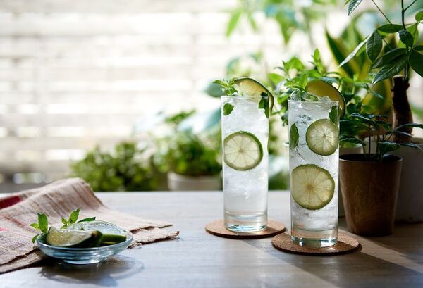 ライクイット、「インドア氷活」を提案　身体・心・家計を整える製氷シリーズを展開