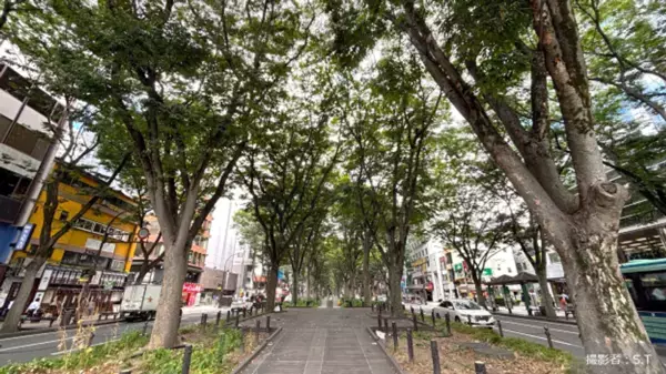 自動運転の実用化で社会はどう変わる？さまざまな課題解決への期待が高まる先進技術- 社会課題に向き合うメディア「地球の学校」の最新記事をご紹介 -