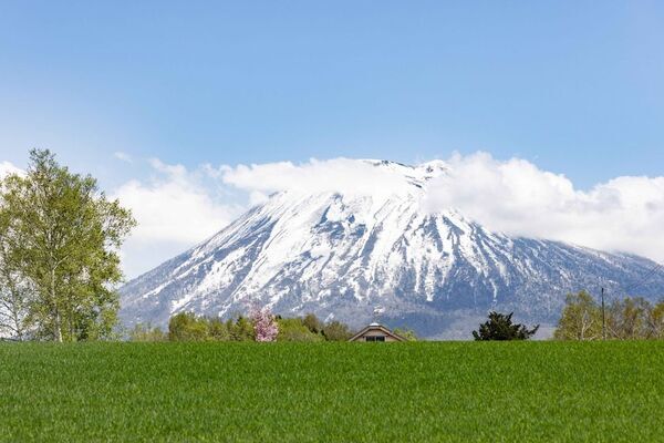 桜・新緑・春紅葉・雪山、4つの季節が一度に交差する、春のニセコへ　ニセコユナイテッドのリフト券が最大半額　5月6日まで営業予定！