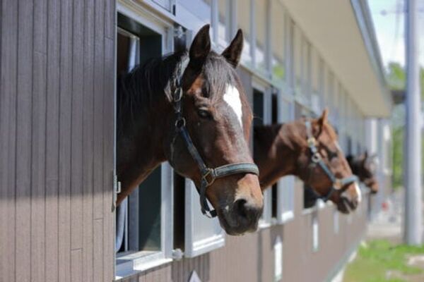 「RVパークにいかっぷ」2026年4月25日(土)オープン　日高自動車道「新冠IC」開通でアクセス抜群！大自然と温泉を満喫できる車中泊の新たな聖地が誕生