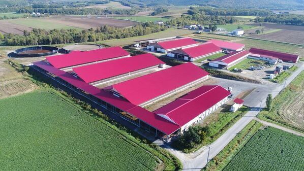 藤井牧場、国内初・乳牛最大級となる家畜排せつ物管理によるJｰクレジット創出に成功