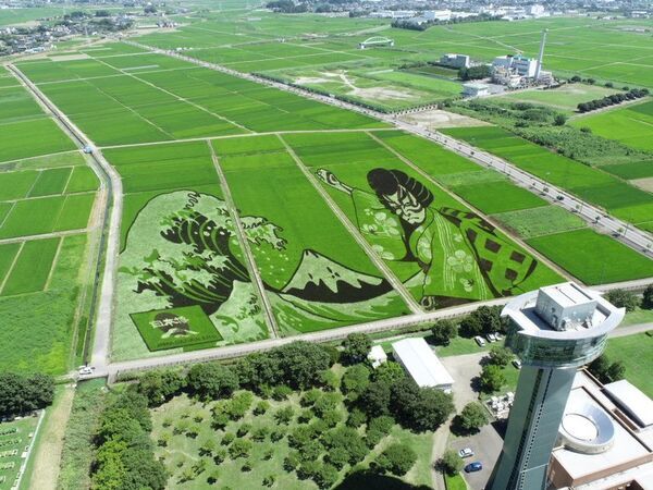 SLに乗って行田市の古代蓮・田んぼアート観賞へお出かけ！7/11(土)、12(日)「SL日本遺産のまち行田号」熊谷駅発→行田市駅行を1日2便特別運行