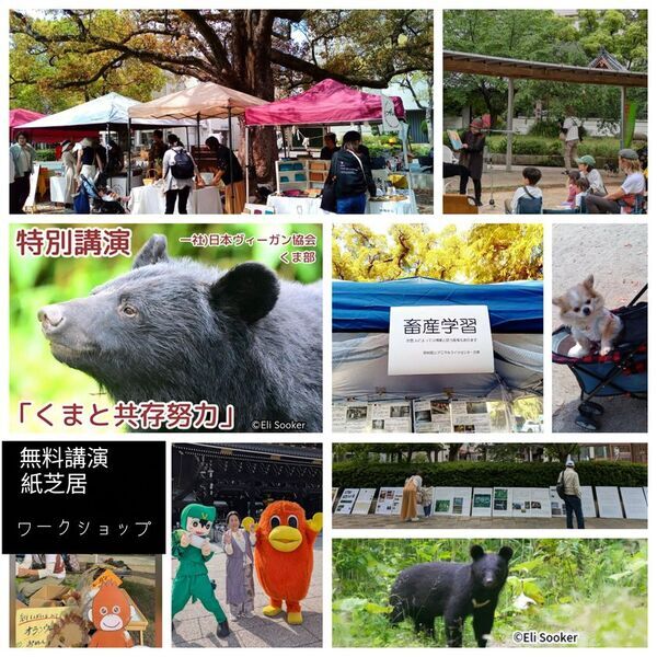 【兵庫・西宮】「環境保全と衣食住」をテーマにした食の祭典『第9回 西宮ヴィーガンフェス』5月17日(日)に開催！