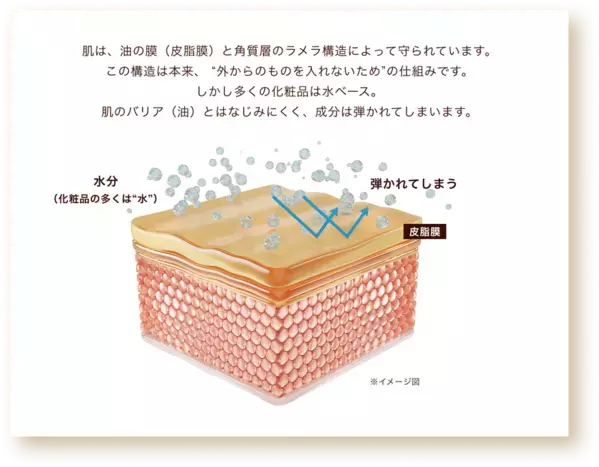 世界初、キャビアの王様「ベルーガ」由来成分をナノ化して配合　次世代スキンケアブランド『Vianne(ヴィアンヌ)』発売