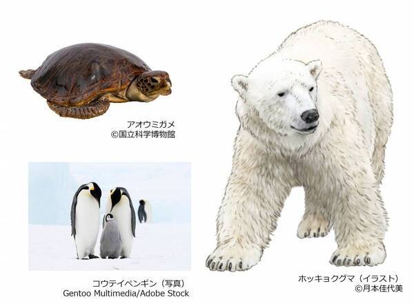 特別展「いきもの超ワールド展　国立科学博物館×ダーウィンが来た！」●いきもの超ワールド展　見どころ公開！●前売チケットは5月15日(金)午前10時発売開始！●ナビゲーター相葉雅紀さんからのメッセージ到着！