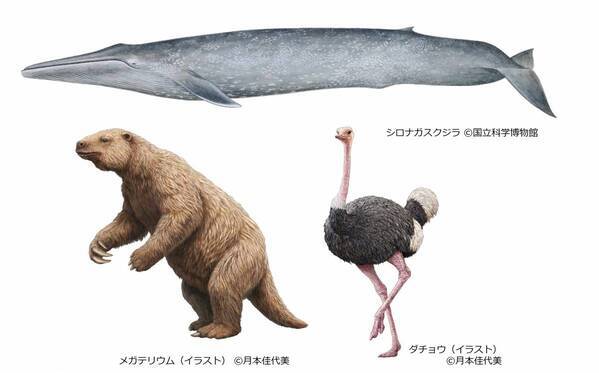 特別展「いきもの超ワールド展　国立科学博物館×ダーウィンが来た！」●いきもの超ワールド展　見どころ公開！●前売チケットは5月15日(金)午前10時発売開始！●ナビゲーター相葉雅紀さんからのメッセージ到着！