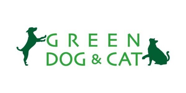 ＜ペットは、家族。＞ プレミアムe-BikeブランドのBESVより、愛犬と“いつも一緒に”移動するための電動アシスト自転車「Votani Q3 Pet Custom Edition」を100台限定で発売