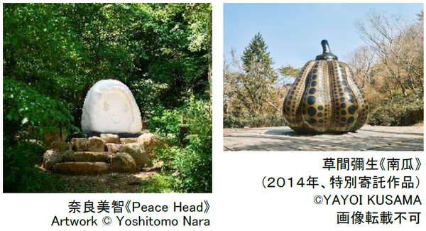六甲高山植物園 花盛り！大群落の「クリンソウ」が見頃です