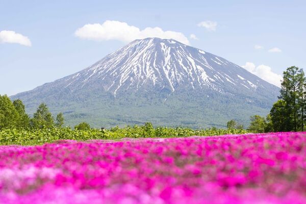 ニセコプロモーションボード、ブランドメッセージ「Niseko by Nature」を発表　雪の名所から、四季を通じて自然とつながるデスティネーションへ