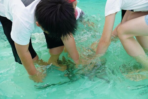 【39年続く嵐山の初夏の風物詩】「嵐山若鮎祭2026」6月13日・14日開催　数量限定の若鮎チャリティーイベント