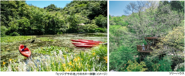 ROKKO森の音ミュージアム神戸市街地より-5度の避暑地体験「ROKKO山涼みフェス2026」開催2026年7月18日（土）～20日（月・祝）
